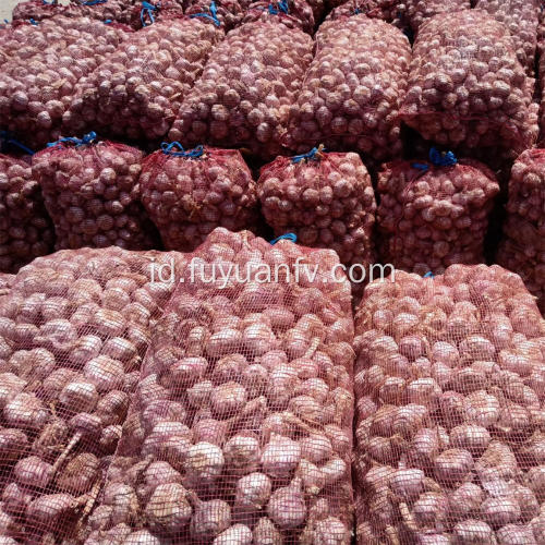 Harga grosir bawang putih putih normal per ton